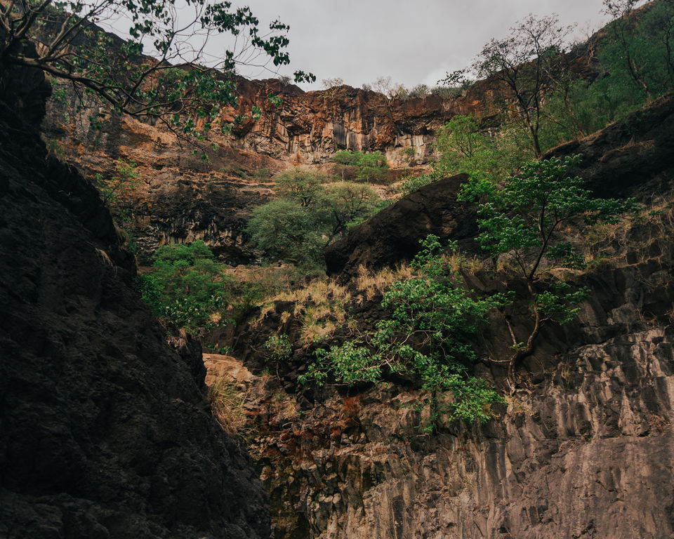 Photo of A Trek to Remember - Rankuya Waterfall, Indore 4/9 by Kshitish Pandey