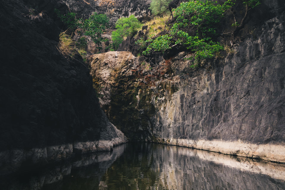Photo of A Trek to Remember - Rankuya Waterfall, Indore 9/9 by Kshitish Pandey
