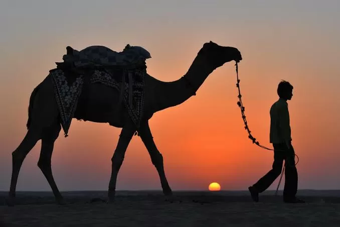 Photo of Jaisalmer by Mukul Panghal 