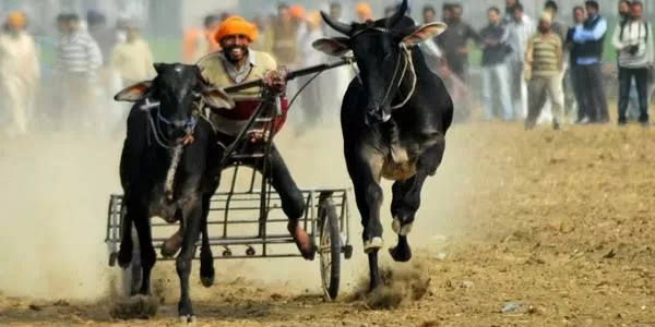 Photo of Kila Raipur by Mukul Panghal 