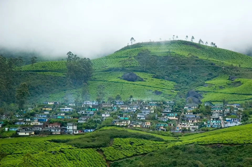 Photo of Munnar by Anmol chaudhary