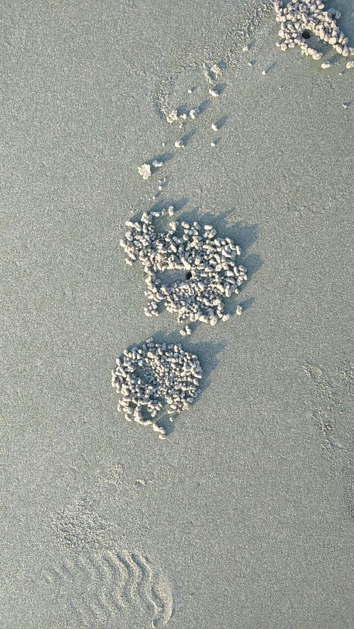 Photo of Majorda Beach, Majorda, Goa, India by Chetana Didugu
