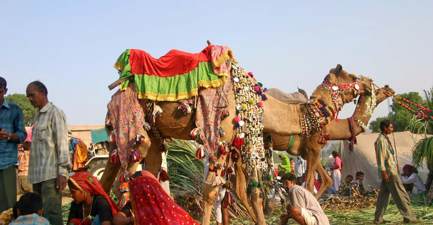 Photo of PUSHKAR CAMEL FAIR by Gurii vlogs