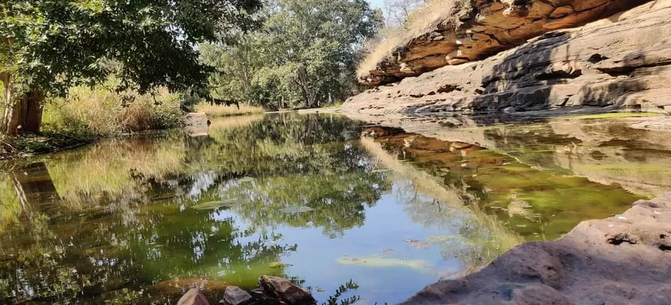 Photo of पक्षियों की अद्भुत दुनिया में तीन अविस्मरणीय दिन... by Kunal Mishra