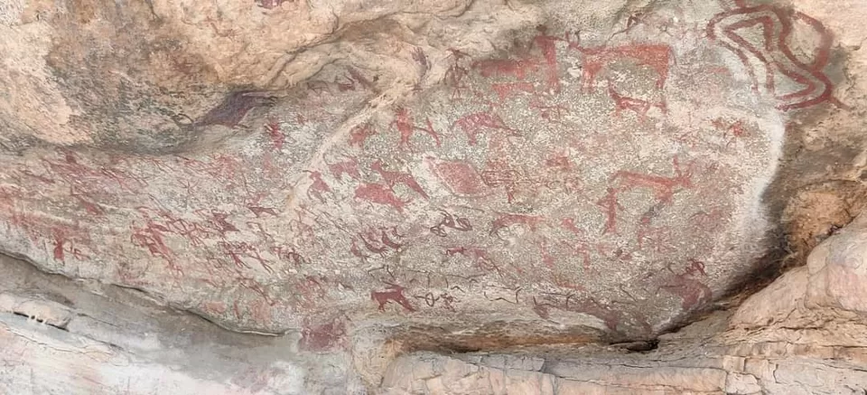 Photo of पक्षियों की अद्भुत दुनिया में तीन अविस्मरणीय दिन... by Kunal Mishra