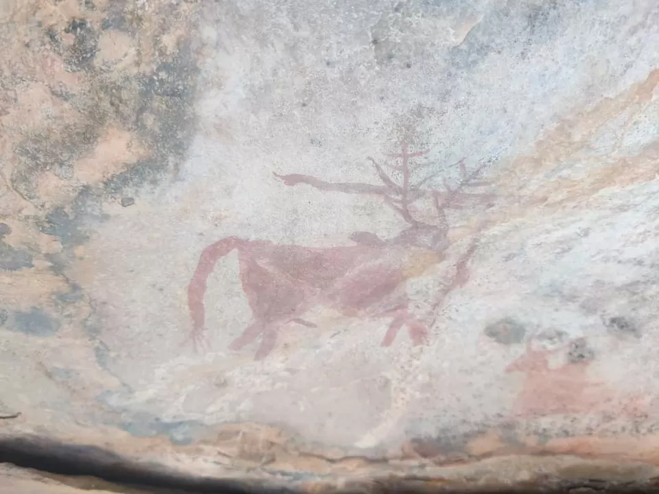 Photo of पक्षियों की अद्भुत दुनिया में तीन अविस्मरणीय दिन... by Kunal Mishra