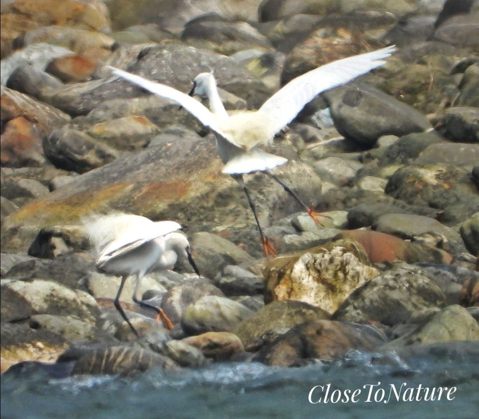 Photo of Kitam Bird Sanctuary: An offbeat destination for Birding enthusiasts. by Sutanu Banerjee