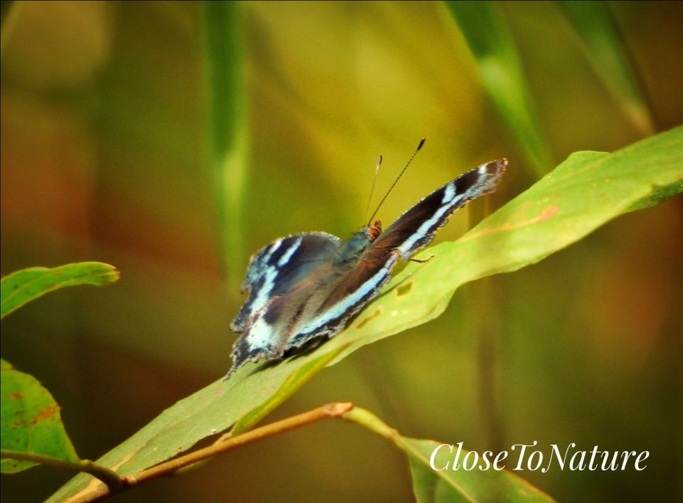 Photo of Kitam Bird Sanctuary: An offbeat destination for Birding enthusiasts. by Sutanu Banerjee