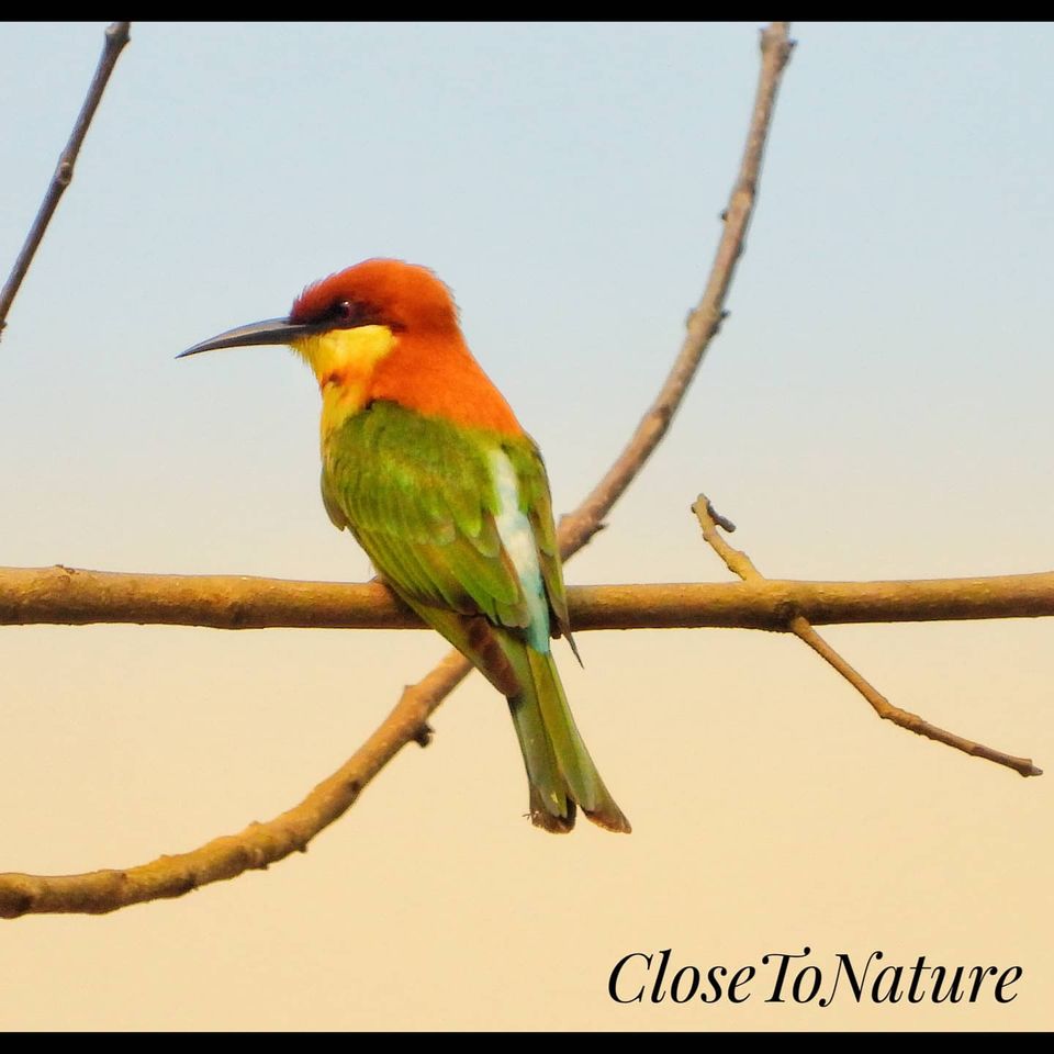 Photo of Kitam Bird Sanctuary: An offbeat destination for Birding enthusiasts. by Sutanu Banerjee