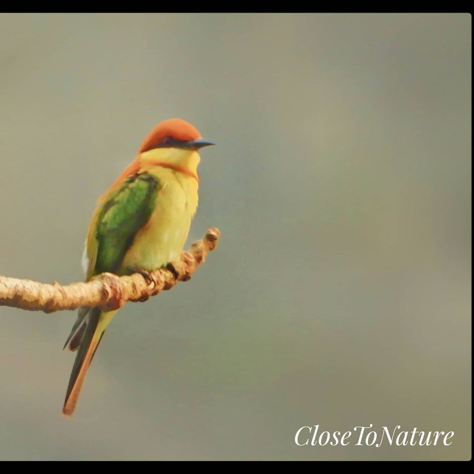 Photo of Kitam Bird Sanctuary: An offbeat destination for Birding enthusiasts. by Sutanu Banerjee