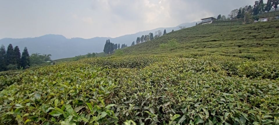 Photo of Kitam Bird Sanctuary: An offbeat destination for Birding enthusiasts. by Sutanu Banerjee