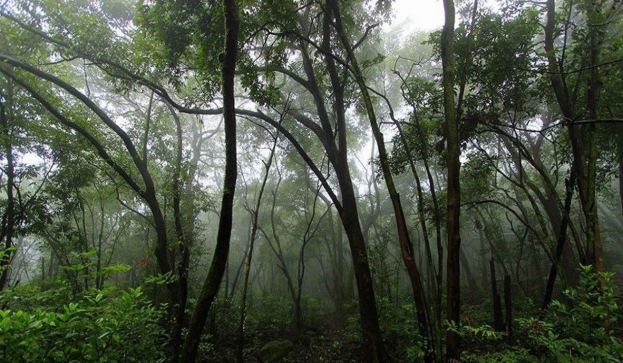 Photo of Top 5 places to visit during monsoon in Maharashtra 4/5 by Andrew Paul