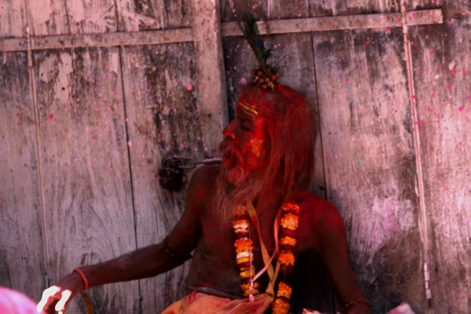 Photo of Vrindavan Diary 1/7 by Jay De'