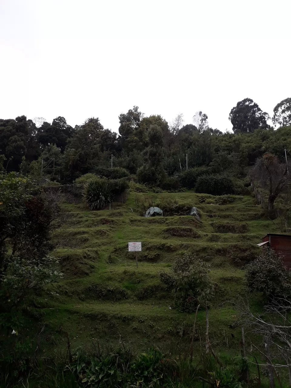 Photo of Kodaikanal, Tamil Nadu, India by Jay De'