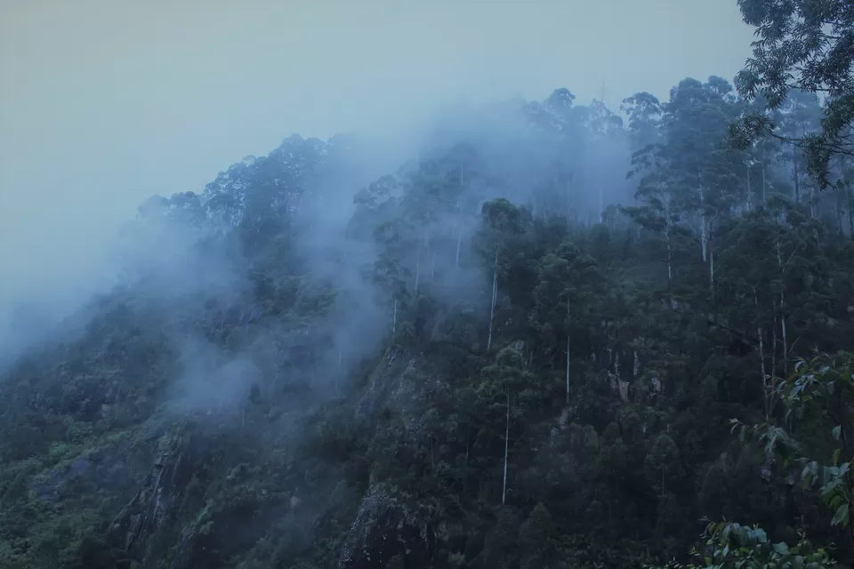 Photo of Kodaikanal, Tamil Nadu, India by Jay De'
