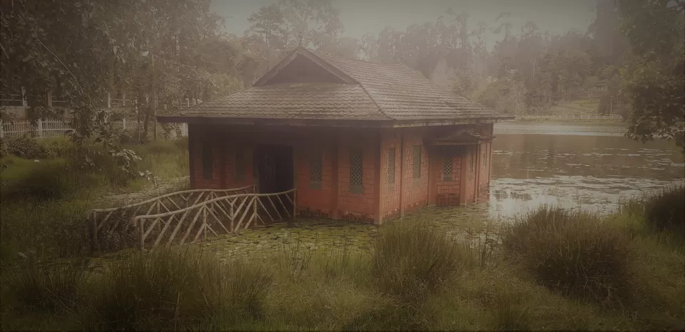 Photo of Kodaikanal, Tamil Nadu, India by Jay De'