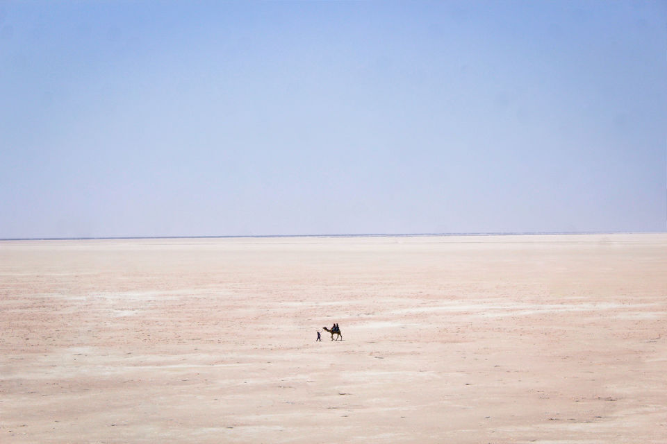 Photo of The Barren Beauty 4/4 by Jay De'