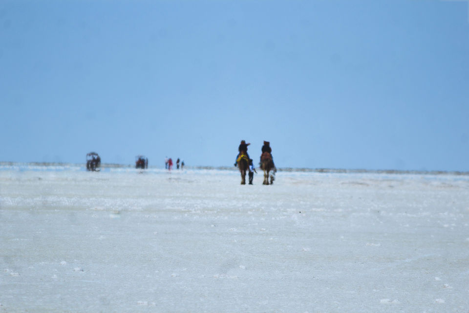 Photo of The Barren Beauty 2/4 by Jay De'