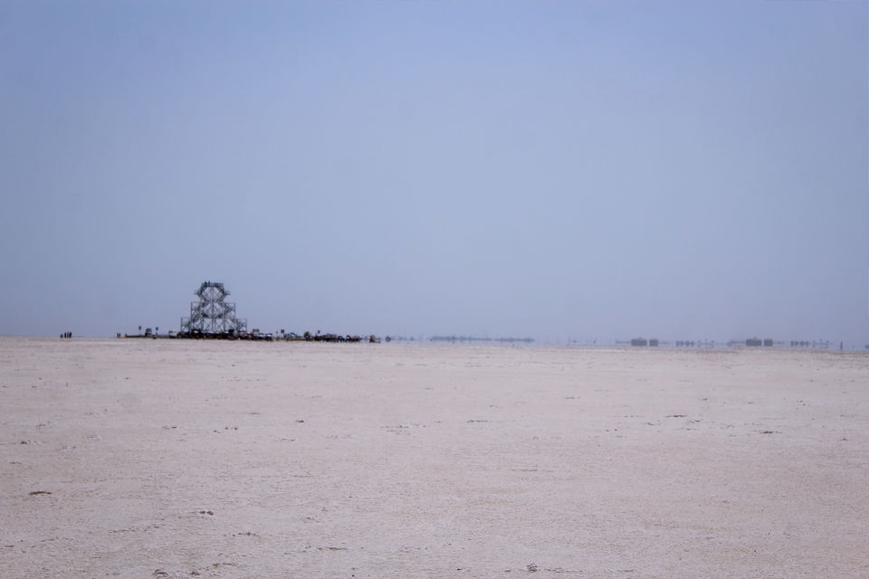 Photo of The Barren Beauty 1/4 by Jay De'