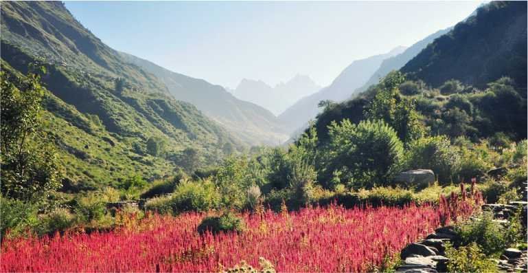 Photo of What is the length of Har ki Doon Trek? 1/1 by Rajat Devyal
