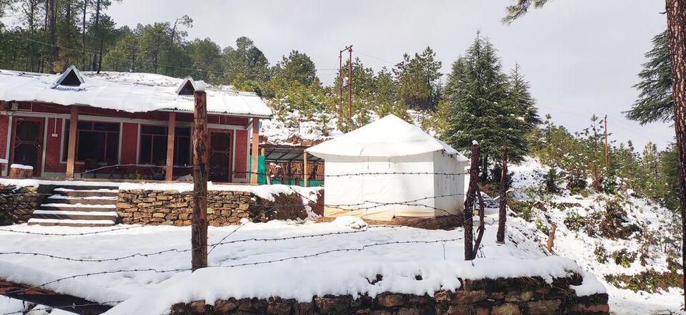 Photo of How do I reach Moustache Woods Of Kausani? 1/1 by Rajat Devyal