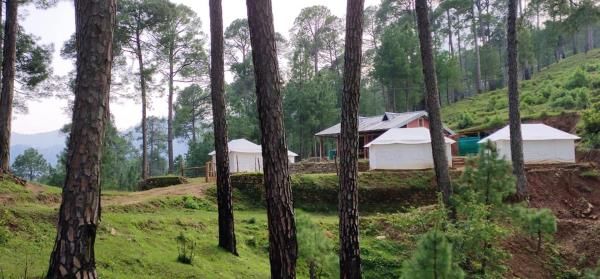Photo of What are the check-in and check-out times at Moustache Woods of Kausani? 1/1 by Rajat Devyal
