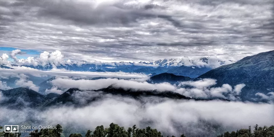 Photo of Chopta by Ankur Raj