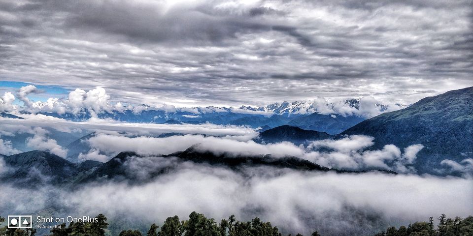Photo of The heaven on Earth, named Chopta. by Ankur Raj