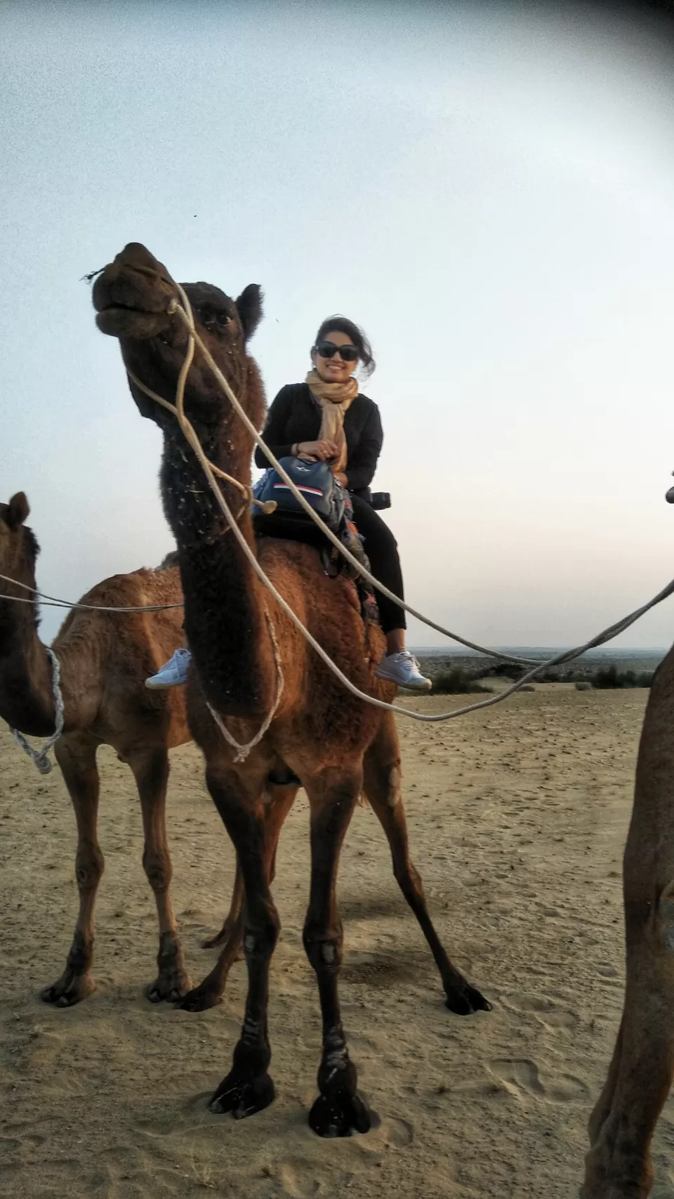 Photo of Thar Desert, Rajasthan by BHOOMI SHAH