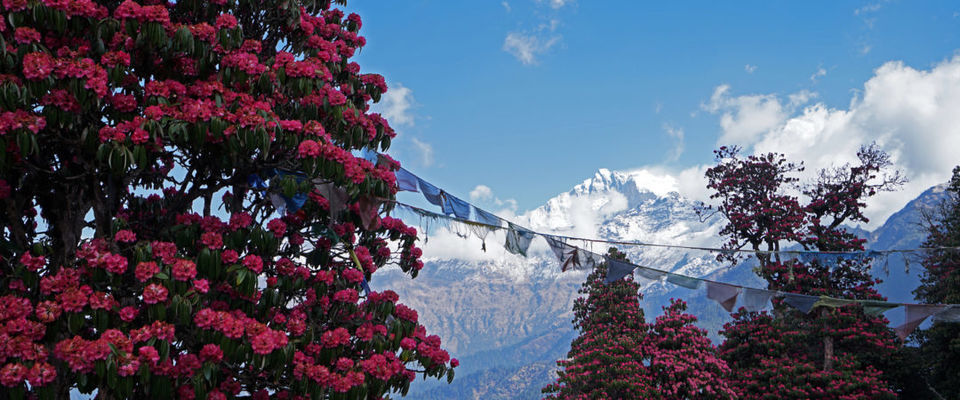 Photo of Alpine treks 2/6 by MD.Jahidul Islam