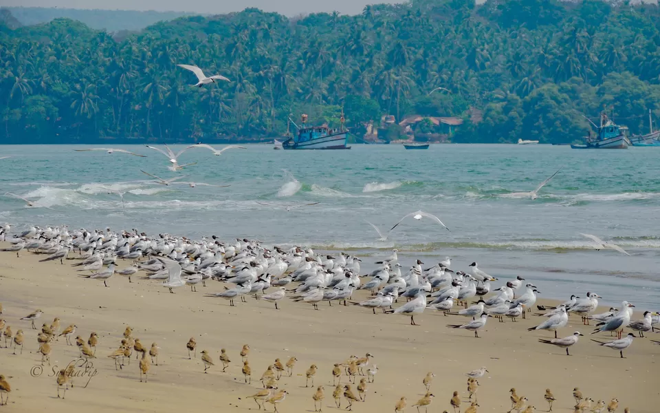 Photo of India By Subhadip Hazra