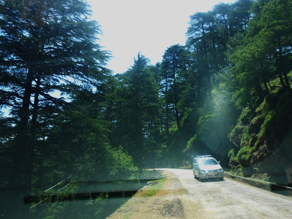 Photo of Patnitop by Neha Gupta