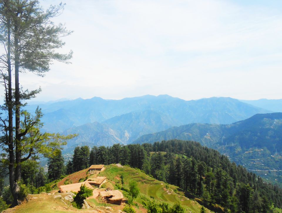 Photo of पटनीटाॅप (Patnitop jammu&kasmir Turism) जम्मू और कश्मीर के एक सुंदर हिल स्टेशन में से एक है ! by Neha Gupta