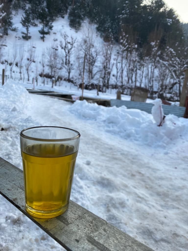 Photo of Srinagar Kashmir Tourism by Vidhi Maheshwari