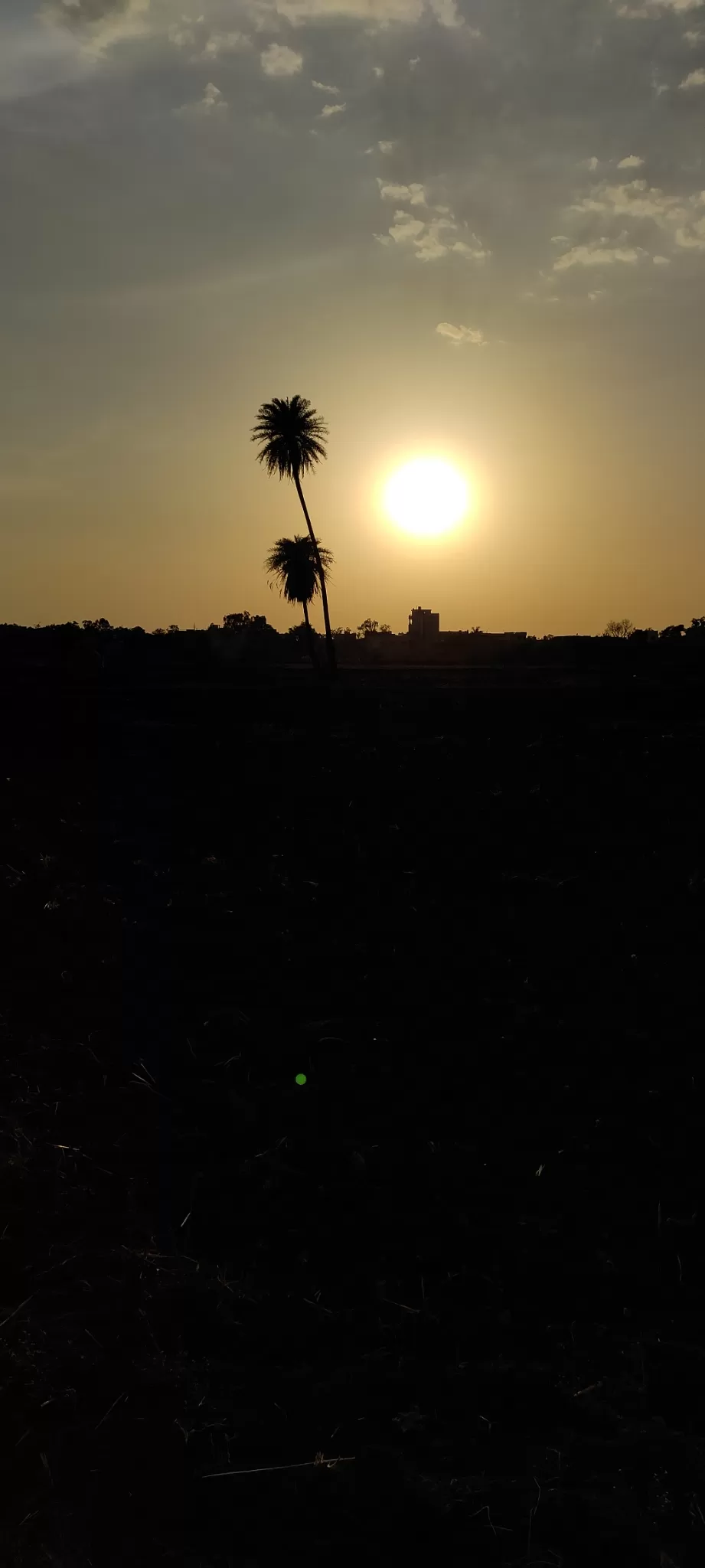 Photo of Fatehabad, Madhya Pradesh 453551, India by Amulya Jain