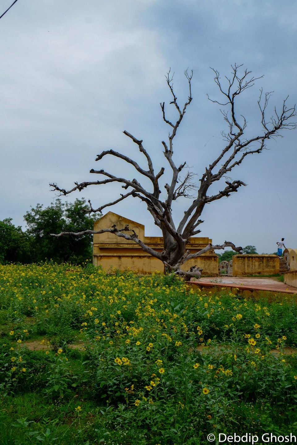 Photo of City of Royals – II by Debdip Ghosh