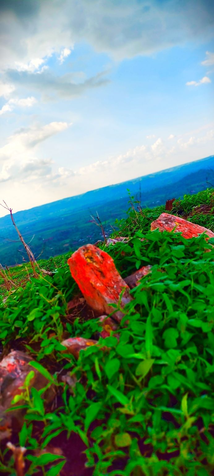 Photo of Katarpura by Jyoti Waskel