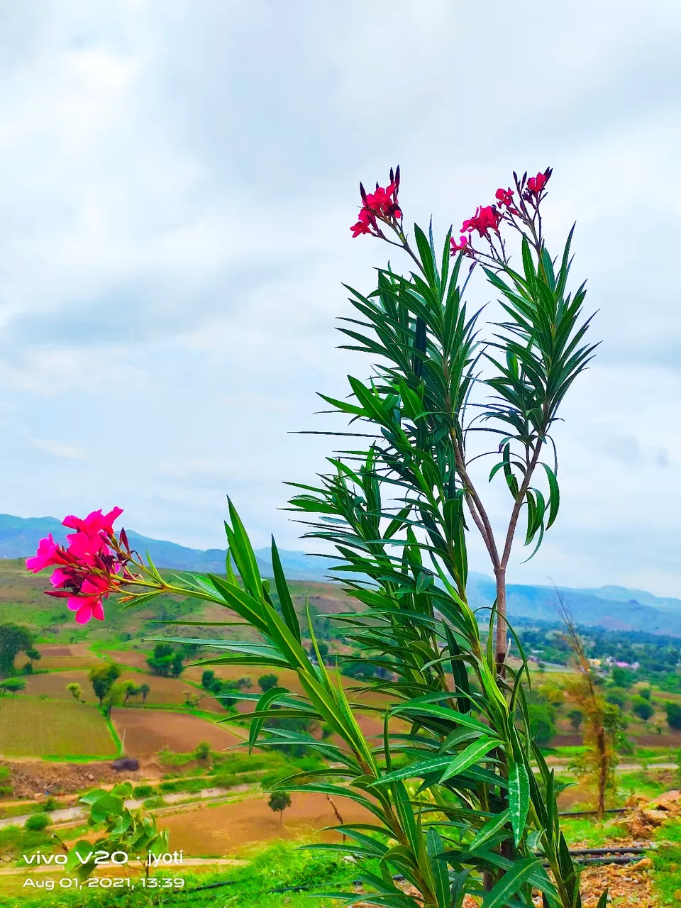 Photo of City of flowers by Jyoti Waskel