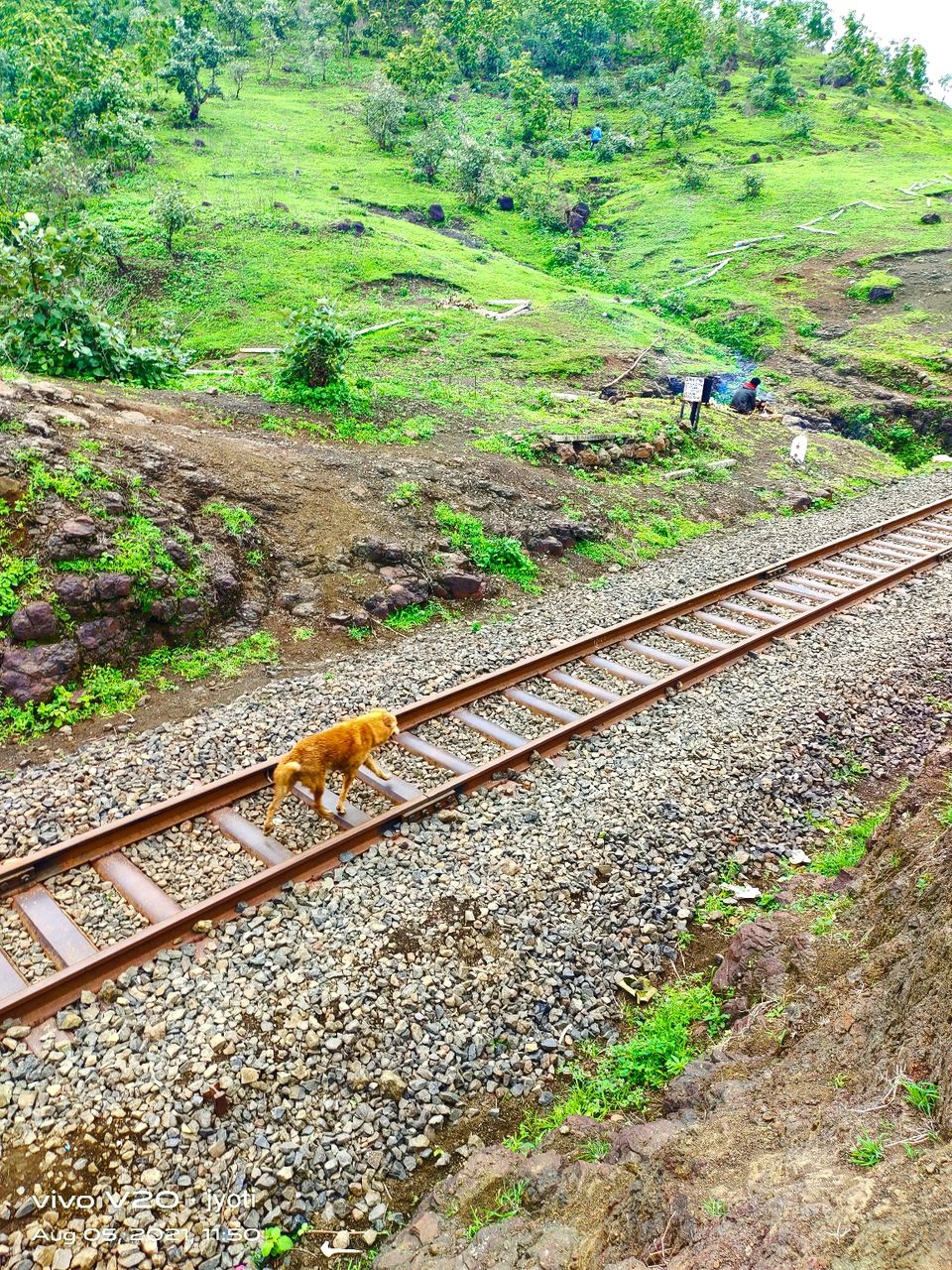 Photo of Special train of patalpani by Jyoti Waskel