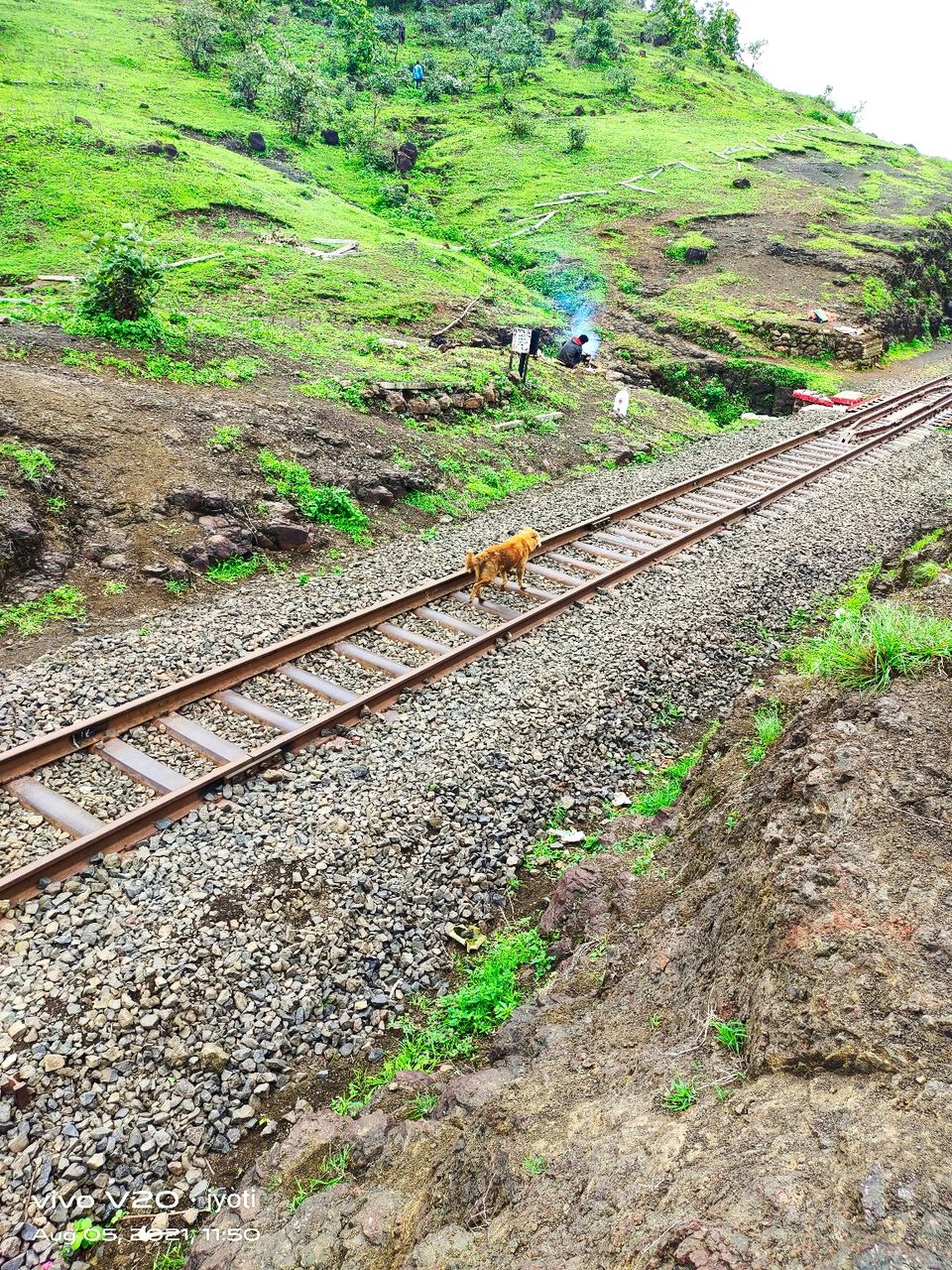 Photo of Special train of patalpani by Jyoti Waskel