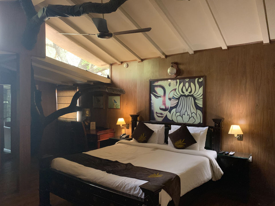 Photo of Stay In A Tree House In Jaipur by Damini Passi