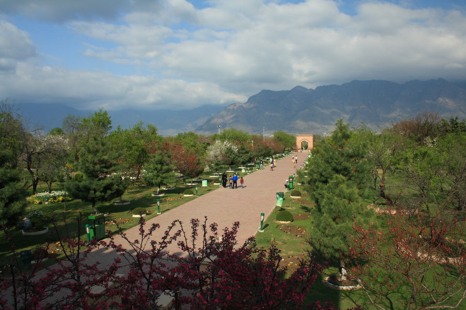 Photo of Badamwari (Garden of Almonds) by Adnan Ali Zahidani