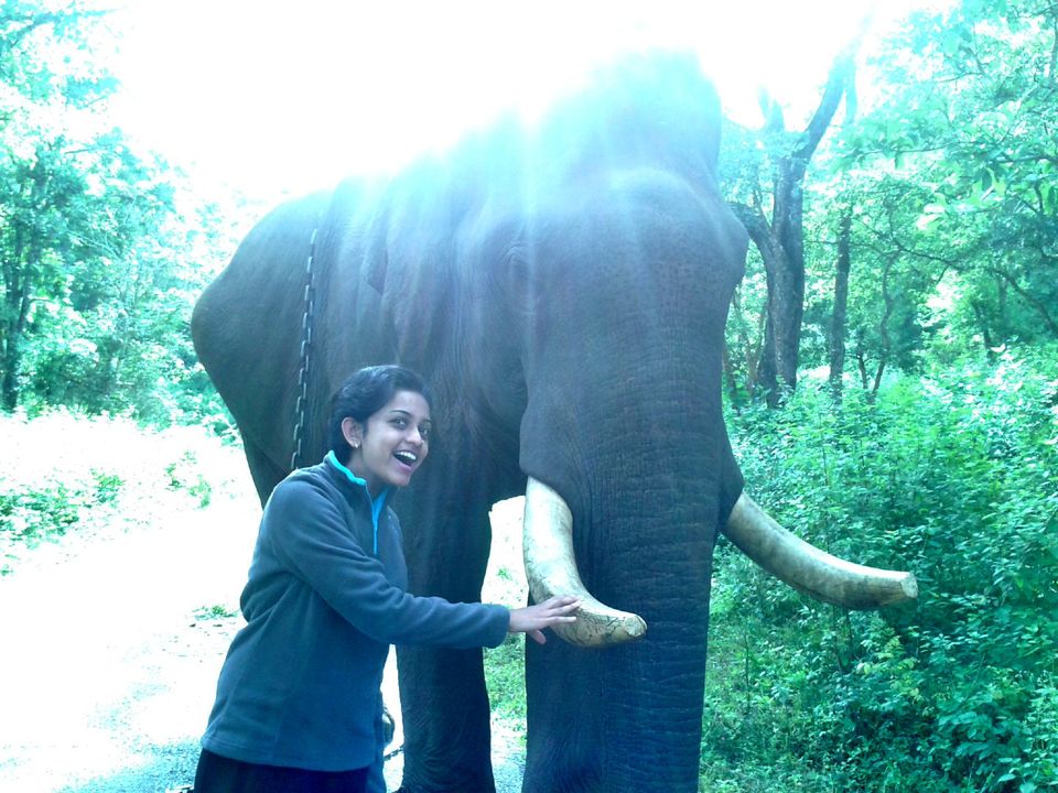 Photo of Tripping in the hills with my happy bunch - BR Hills! 1/15 by Meghna N Kushalappa