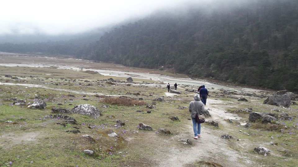 Photo of Magical State Of North Sikkim! 7/12 by Meghna N Kushalappa