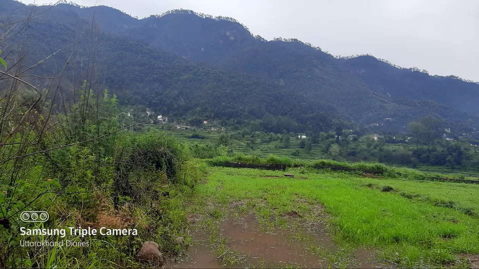 Photo of Dwarahat Range, Uttarakhand 263656, India by Navneet Charan