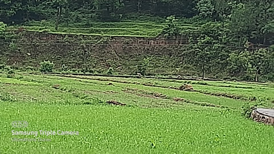 Photo of Dwarahat Range, Uttarakhand 263656, India by Navneet Charan