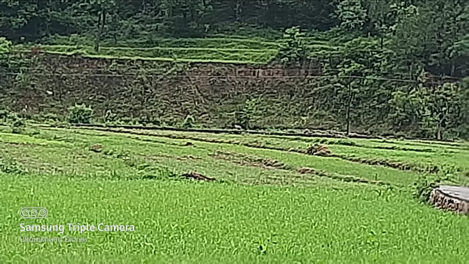 Photo of Dwarahat Range, Uttarakhand 263656, India by Navneet Charan