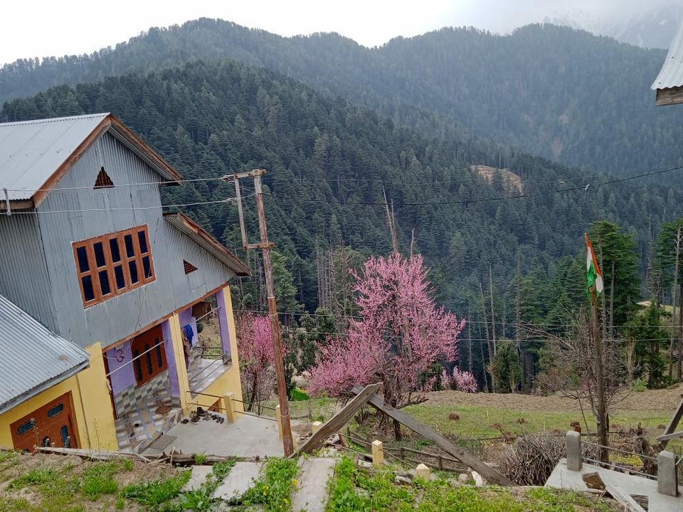 Photo of भूत-प्रेत को नहीं मानते हो, तो एक बार हिमाचल प्रदेश की इन 10 भुतहा जगहों पर घूम आओ, राय बदल जाएगी। by Walia Sachin