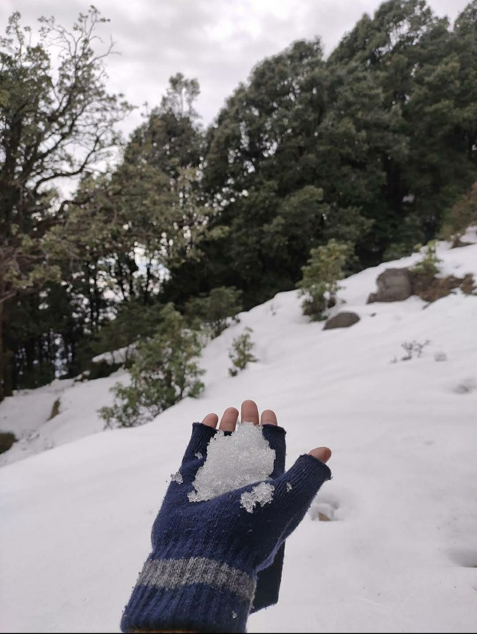 Photo of थथारणा ट्रेक: प्राकृतिक सौंदर्य के बीच में स्थित है एक बेहद अद्भुत ट्रेक। जहाँ हर कोई जाना चाहेगा। by Walia Sachin