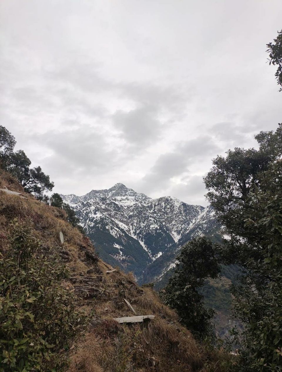 Photo of थथारणा ट्रेक: प्राकृतिक सौंदर्य के बीच में स्थित है एक बेहद अद्भुत ट्रेक। जहाँ हर कोई जाना चाहेगा। by Walia Sachin